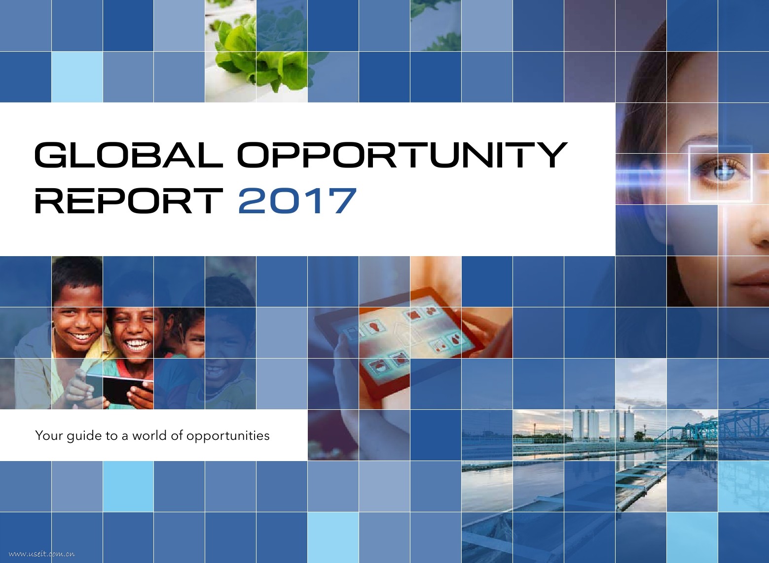 DNV GL：2017年全球机会报告（英文版）