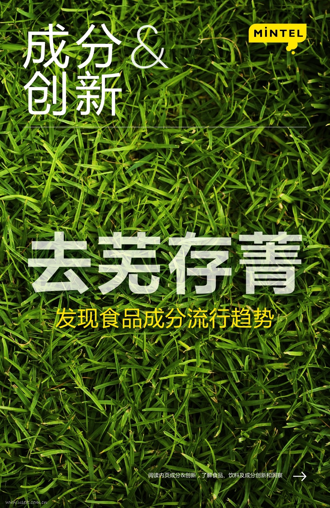英敏特：成分&创新，发现食品成分流行趋势