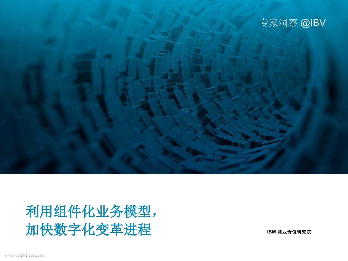 IBM 商业价值研究院：利用组件化业务模型，加快数字化变革进程