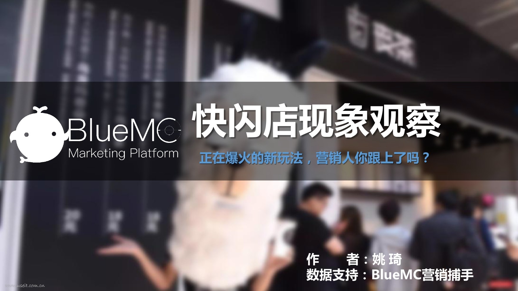 BlueMC：快闪店现象观察