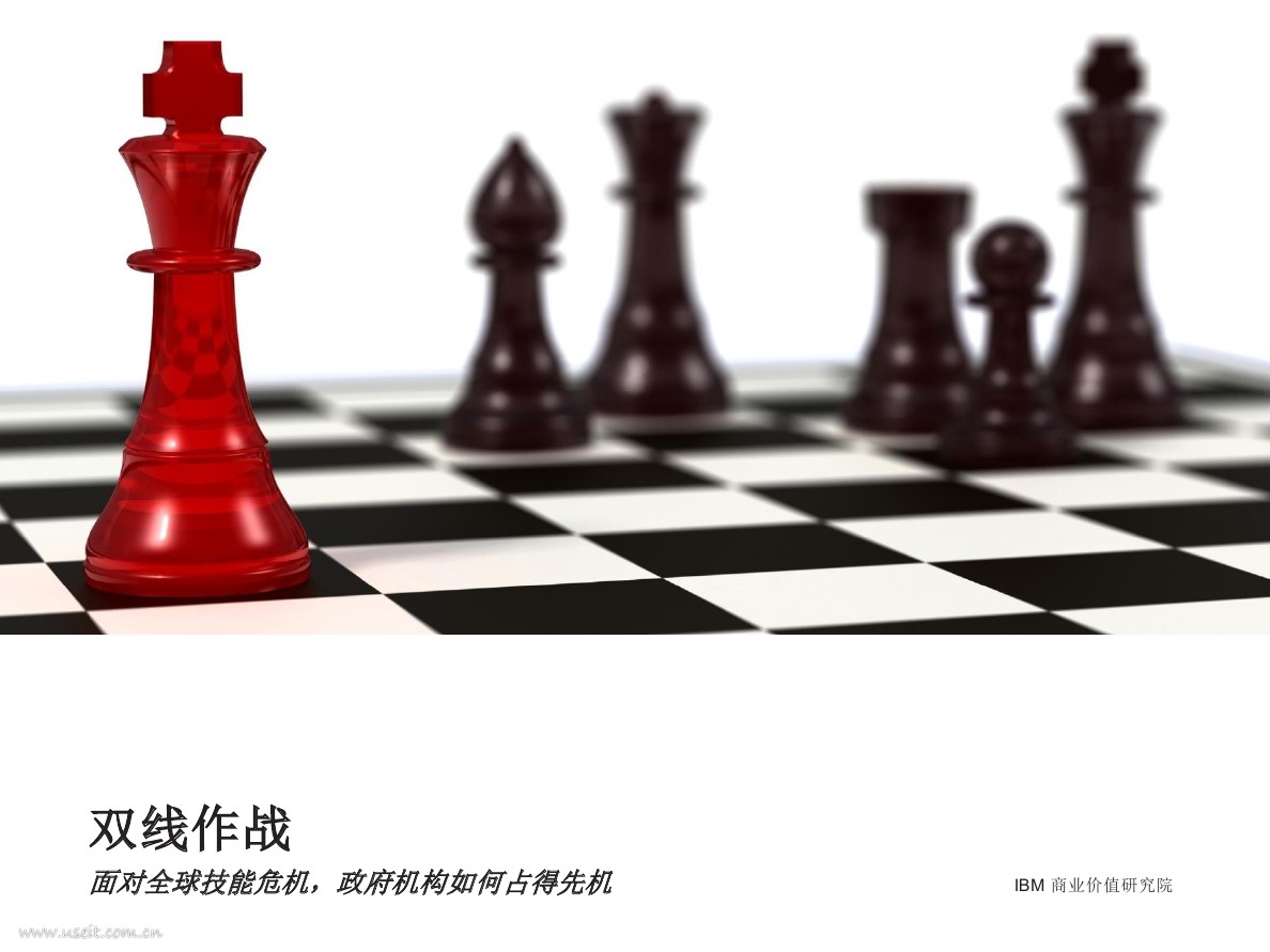 IBM 商业价值研究院：面对全球技能危机，政府机构如何占得先机