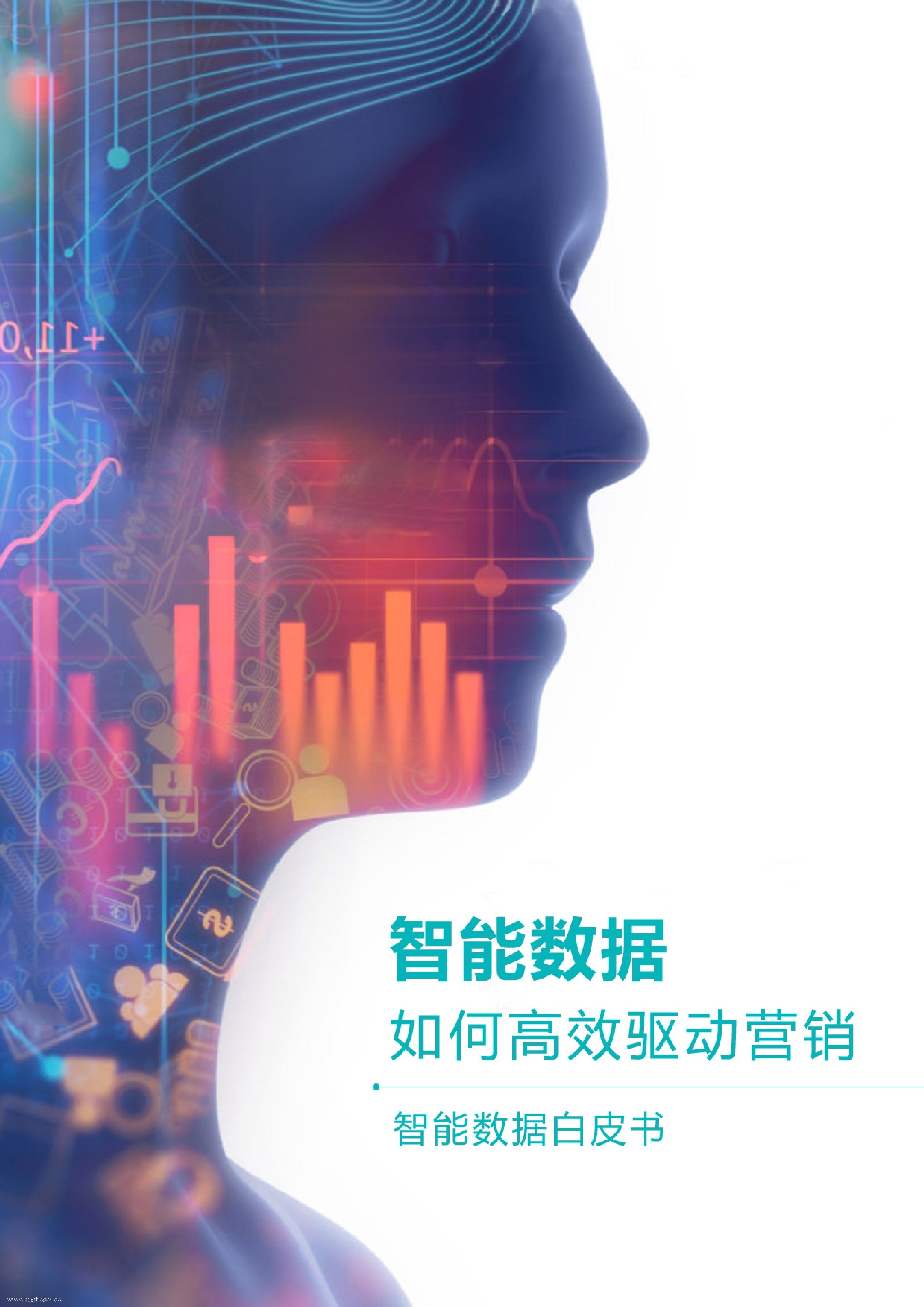 Chinapex创略中国：2017智能数据白皮书--智能数据如何高效驱动营销 海报