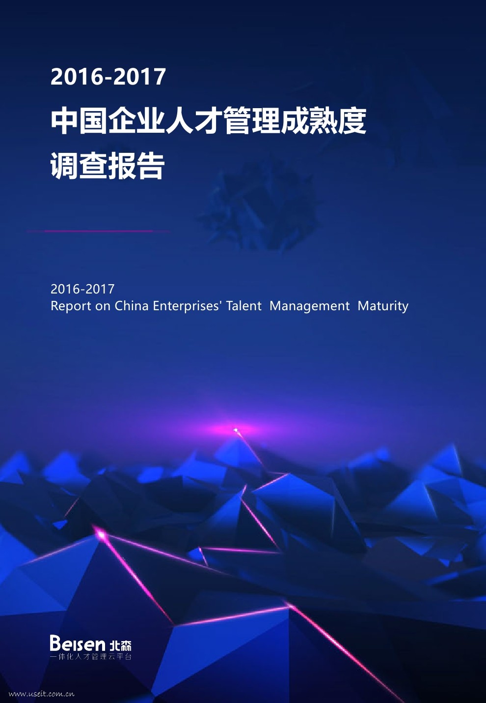 北森：2016-2017中国企业人才管理成熟度调查报告