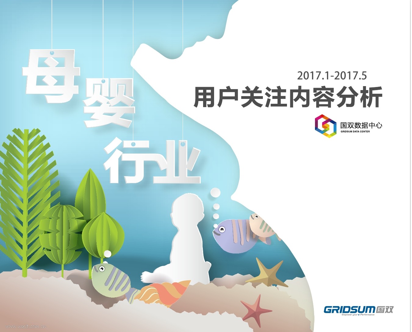 国双数据中心：2017年母婴行业用户关注内容分析报告