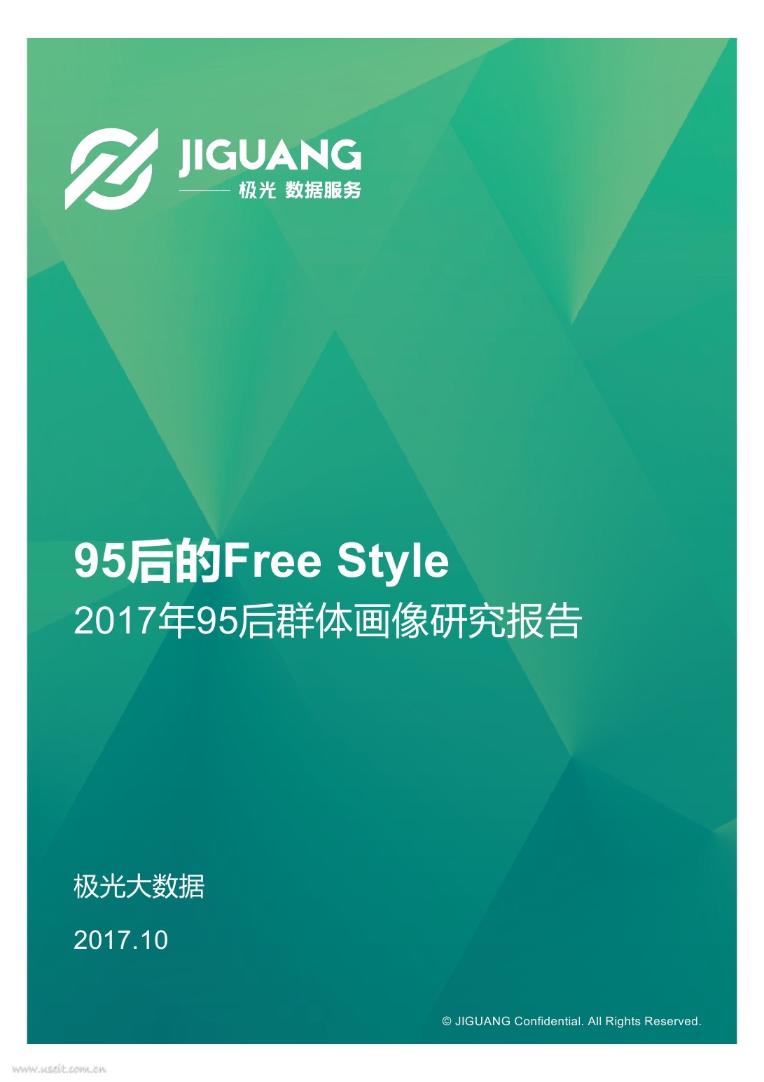 极光大数据：95后群体画像研究报告-95后的Free Style