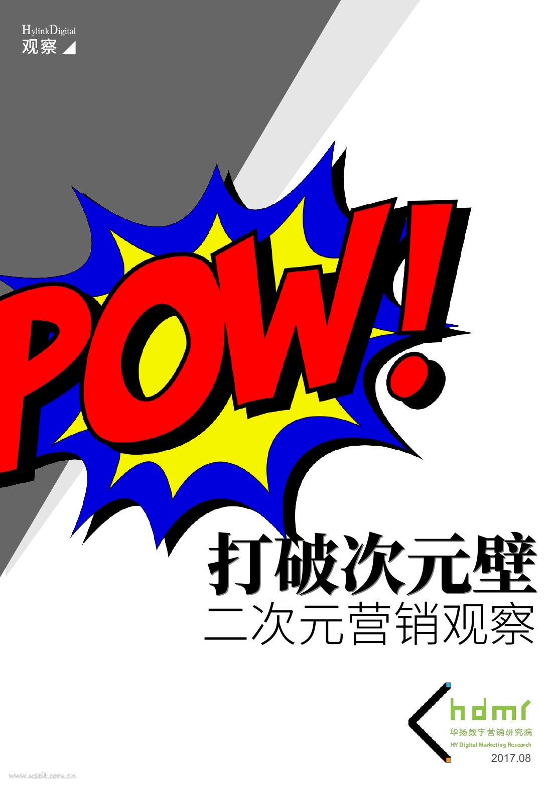 华扬数字营销研究院：打破次元壁--二次元营销观察