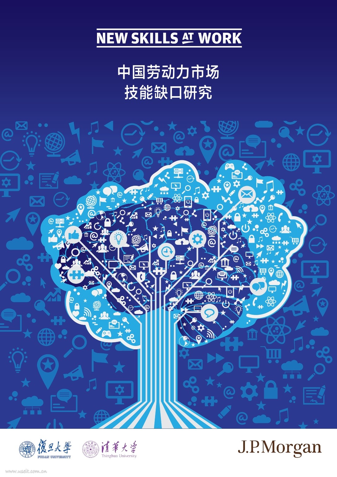 复旦&清华&摩根：2016中国劳动力市场技能缺口研究