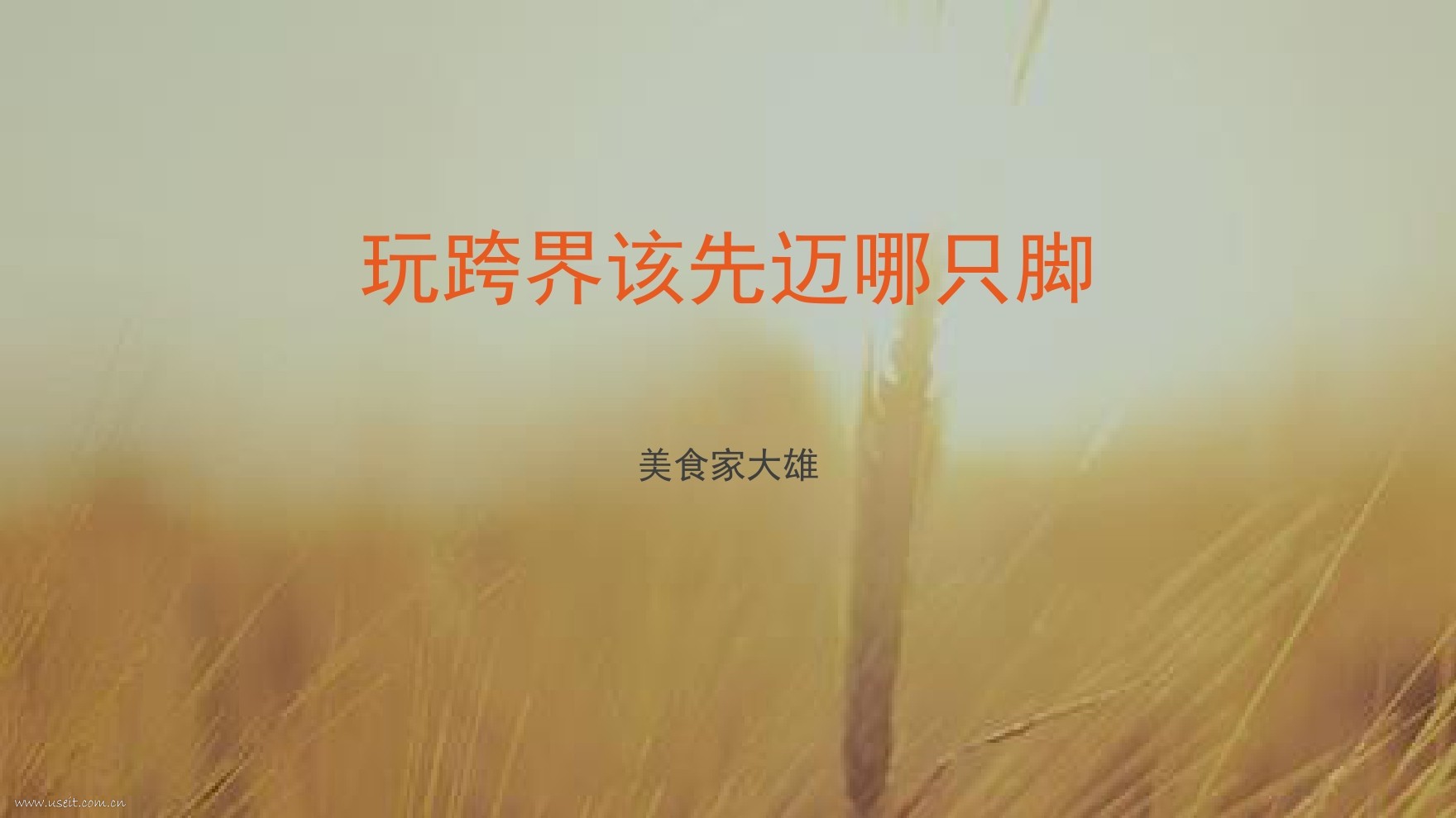 美食自媒体 大雄：今天，你跨界了吗？
