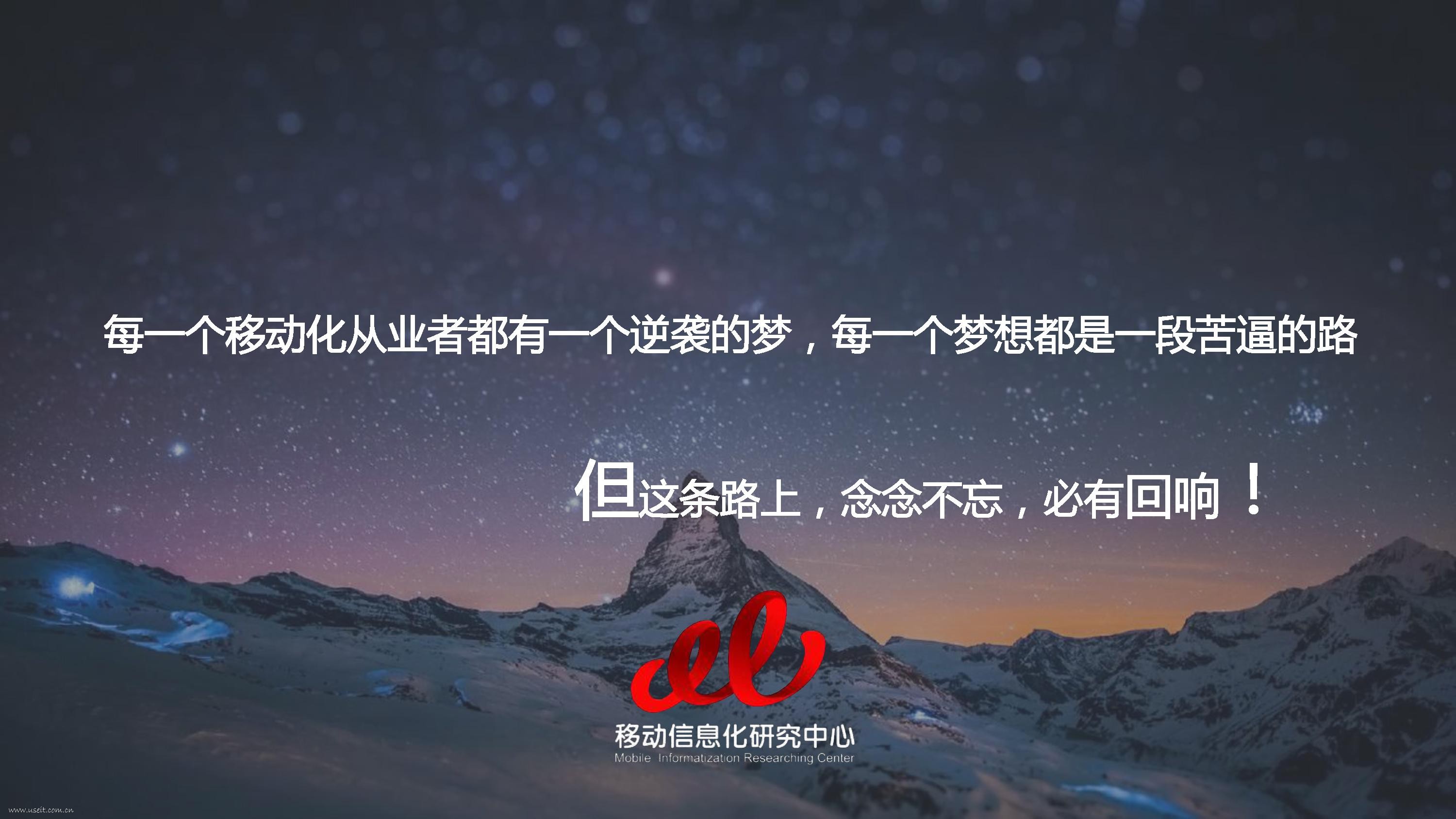 中国移动信息化发展研究：移动化的回响