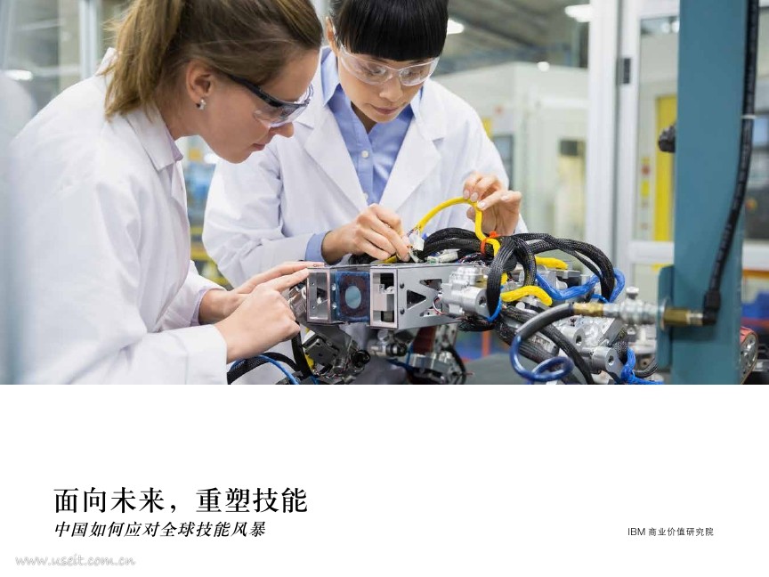 IBM 商业价值研究院：中国如何应对全球技能风暴