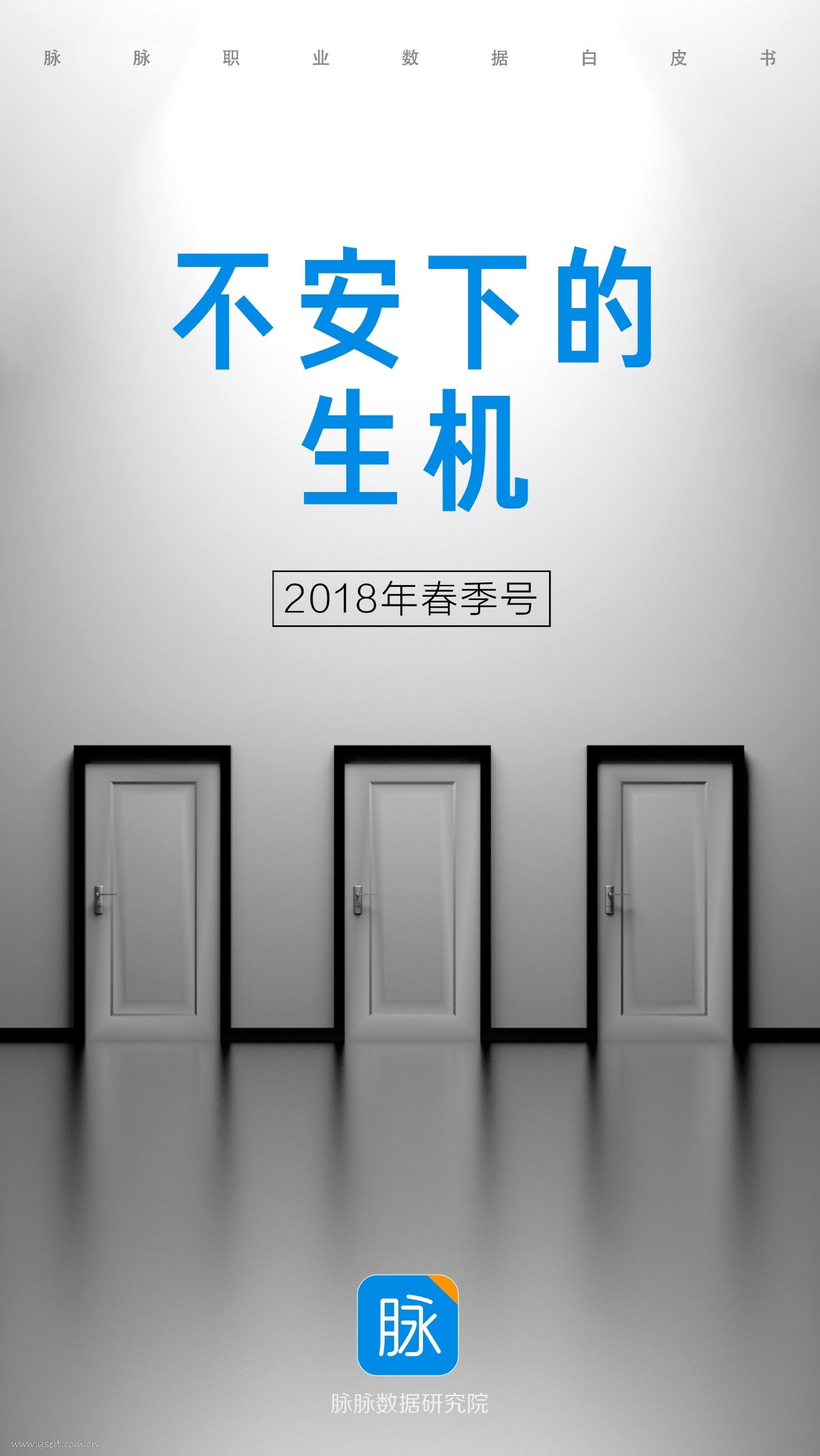 脉脉数据研究院：2018职业数据白皮书春季号：不安下的生机