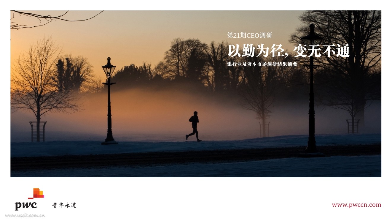 普华永道：第21期全球CEO调研-银行业及资本市场调研结果摘要