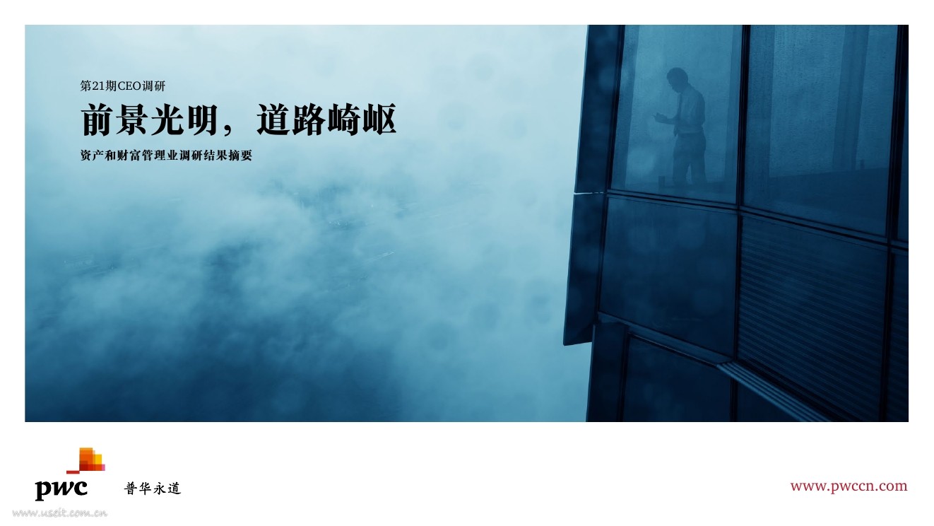 普华永道：第21期全球CEO年度调研-资产和财富管理业调研结果摘要