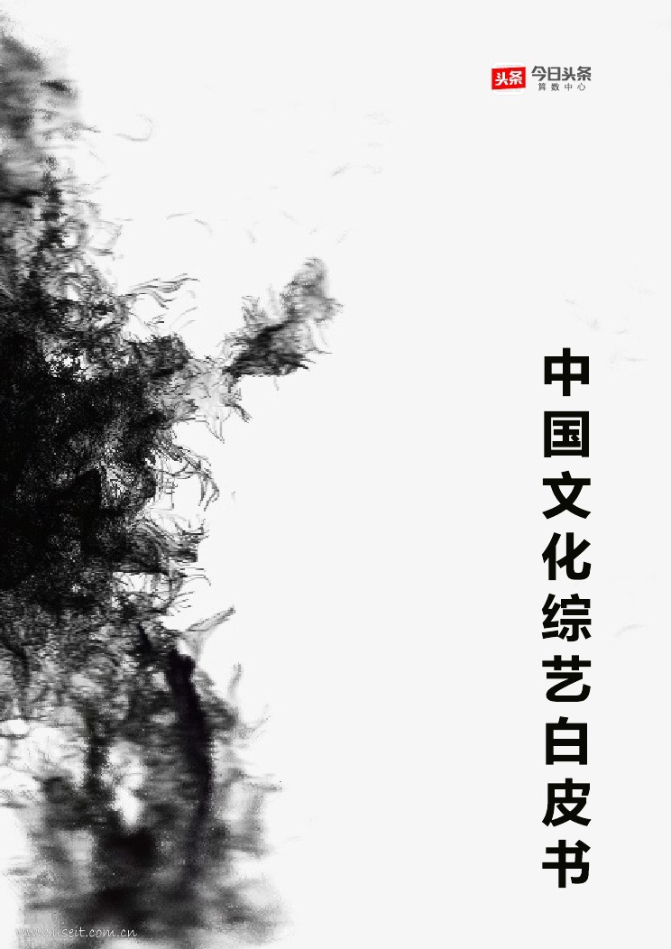 今日头条：2018中国文化综艺白皮书
