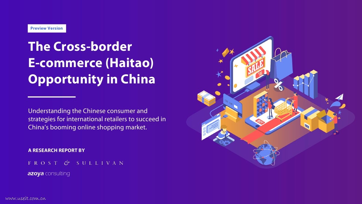 Azoya Consulting：中国市场跨境电商（海淘）的机遇（英文版）