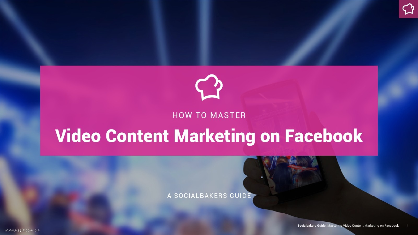 Socialbakers：Facebook视频营销指南（英文版）