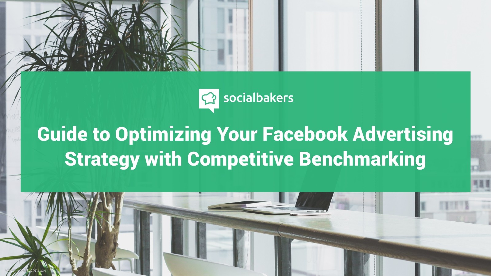 Socialbakers：Facebook广告策略优化指南（英文版）