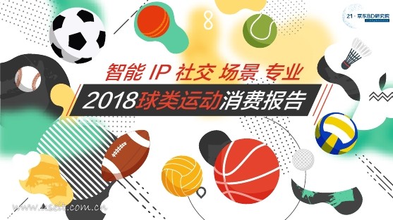 京东研究院：2018球类运动消费报告