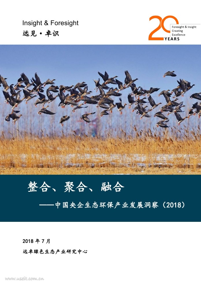 Insight&Foresigh：2018中国央企生态环保产业发展洞察