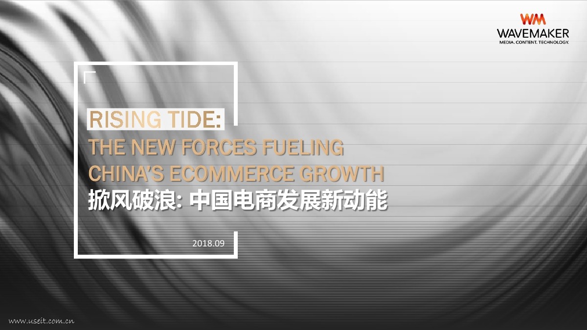 蔚迈Wavemaker：掀风破浪--中国电商发展新动能