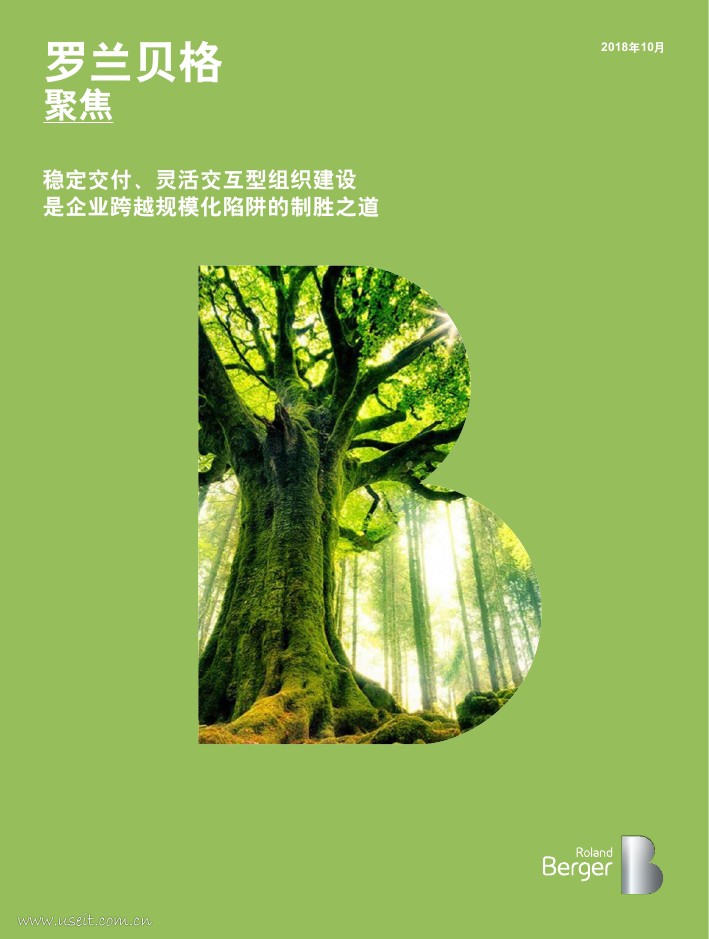 罗兰贝格：稳定交付、灵活交互型组织建设是企业跨越规模化陷阱的制胜之道