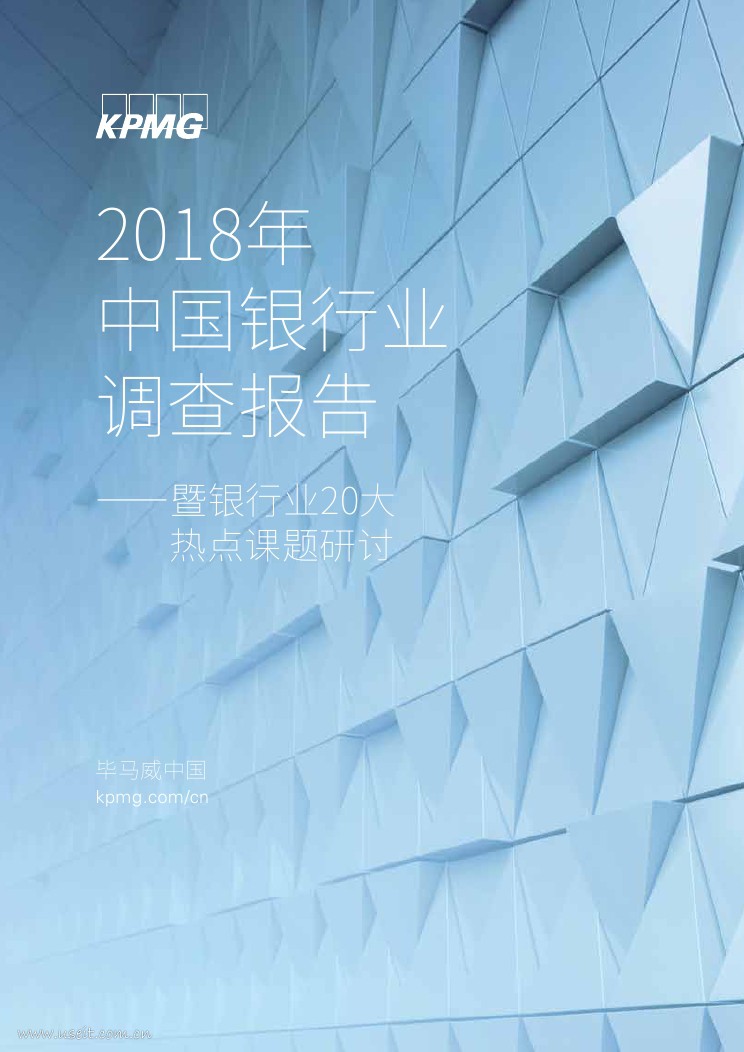 毕马威：2018年中国银行业调查报告—暨银行业20大热点课题研讨