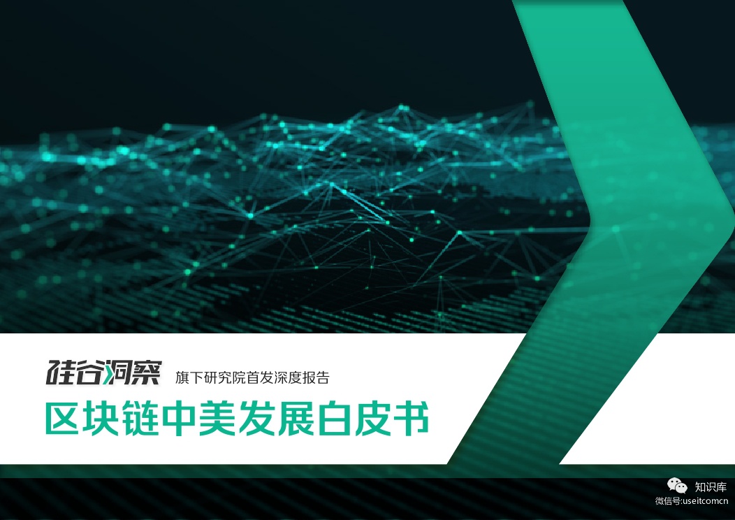 SV Insight：区块链中美发展白皮书