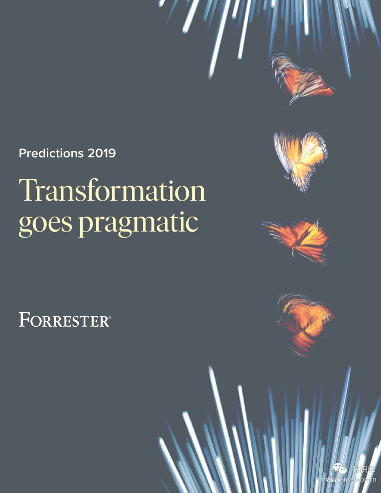 Forrester：2019年度市场趋势预测（英文版）