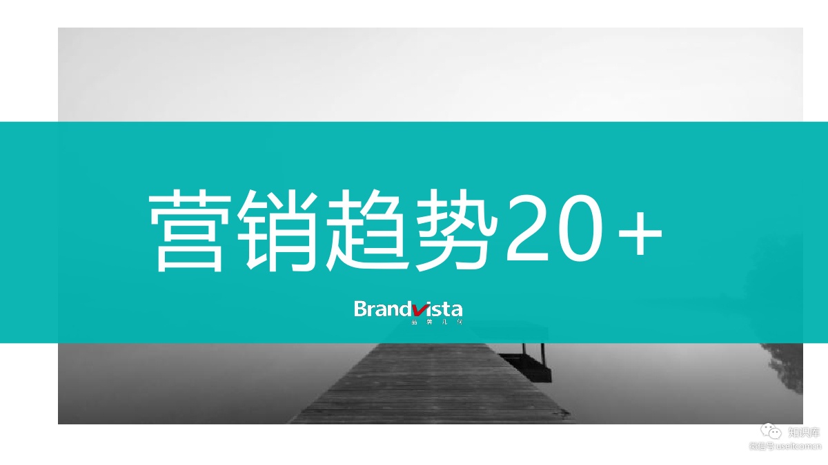 BrandVista：营销趋势20+