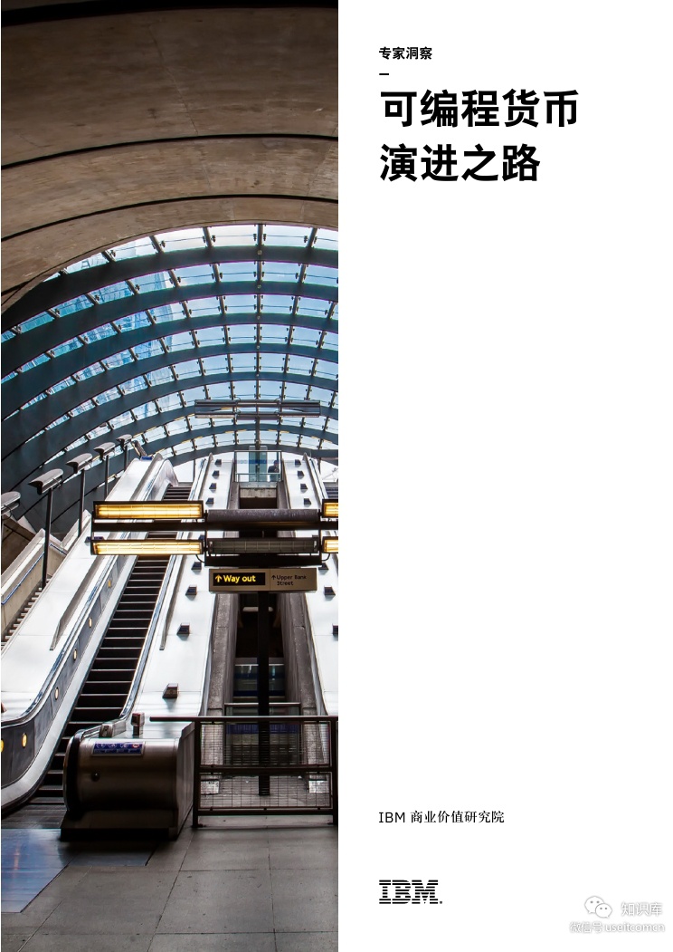IBM 商业价值研究院：可编程货币演进之路