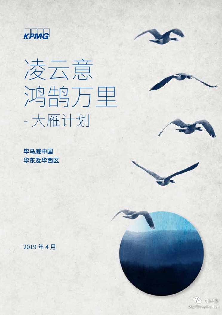 毕马威：凌云意 鸿鹄万里--大雁计划