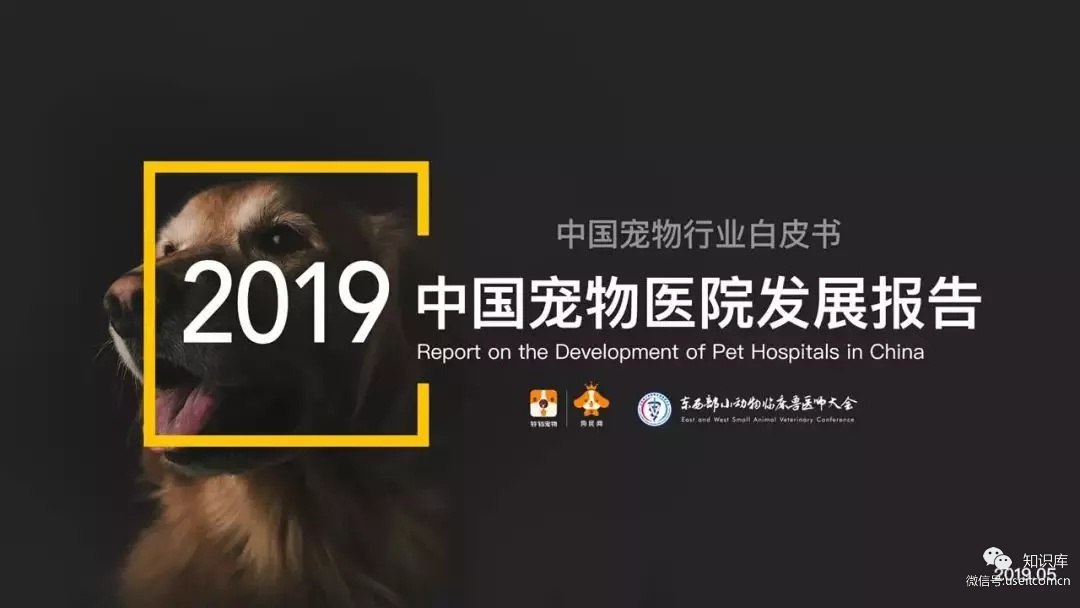 狗民网：2019中国宠物医院发展报告