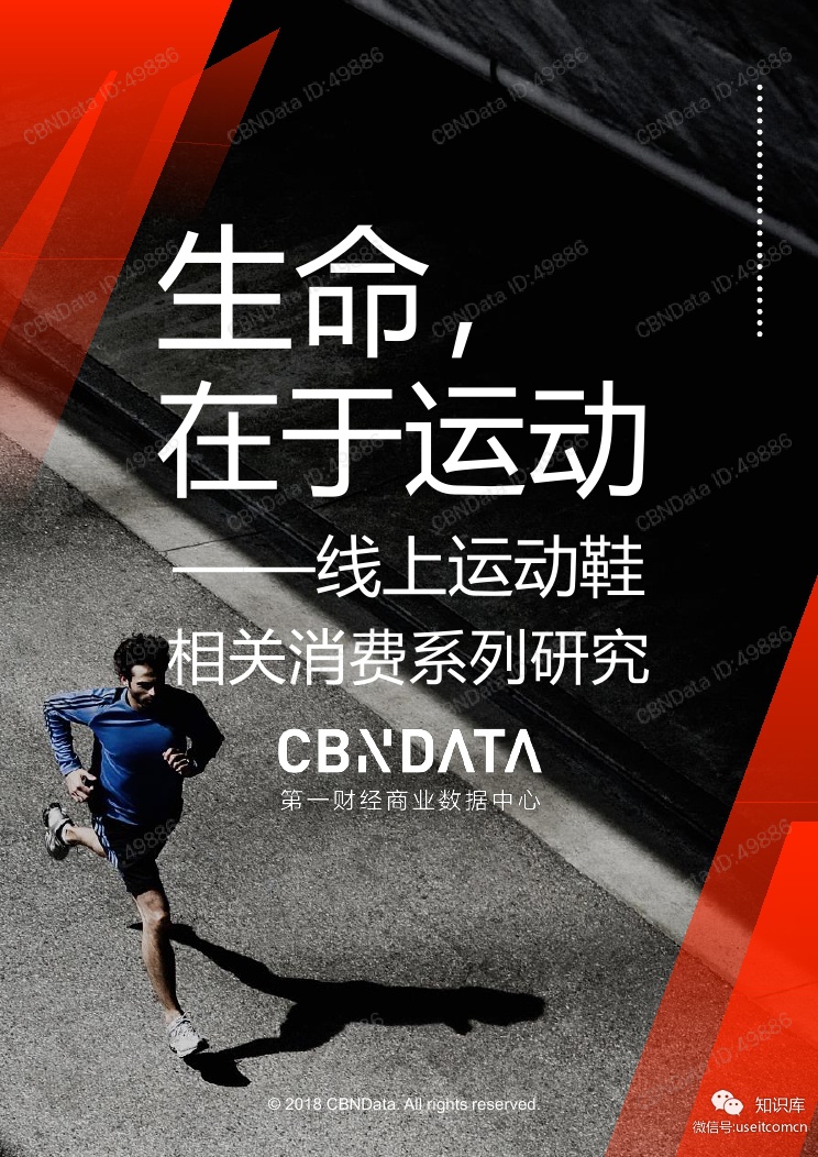 CBNData：2018线上运动鞋相关消费系列研究
