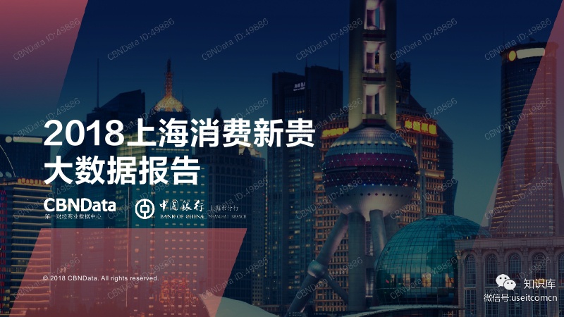 CBNData：2018上海消费新贵大数据报告