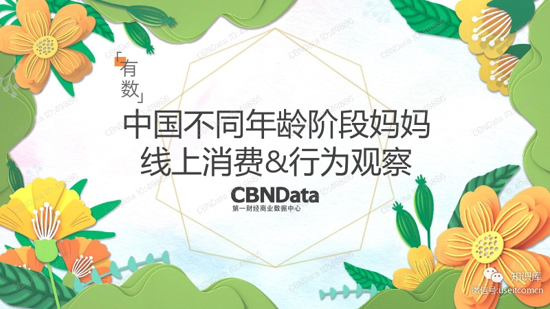 CBNData：2018中国不同年龄阶段妈妈线上消费行为观察