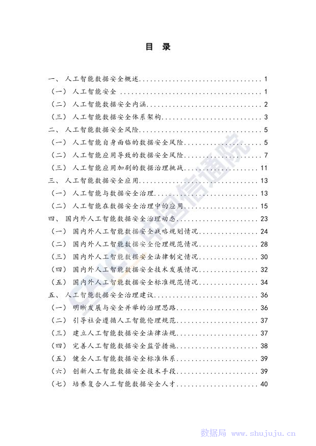 中国信通院：人工智能数据安全白皮书_第6页