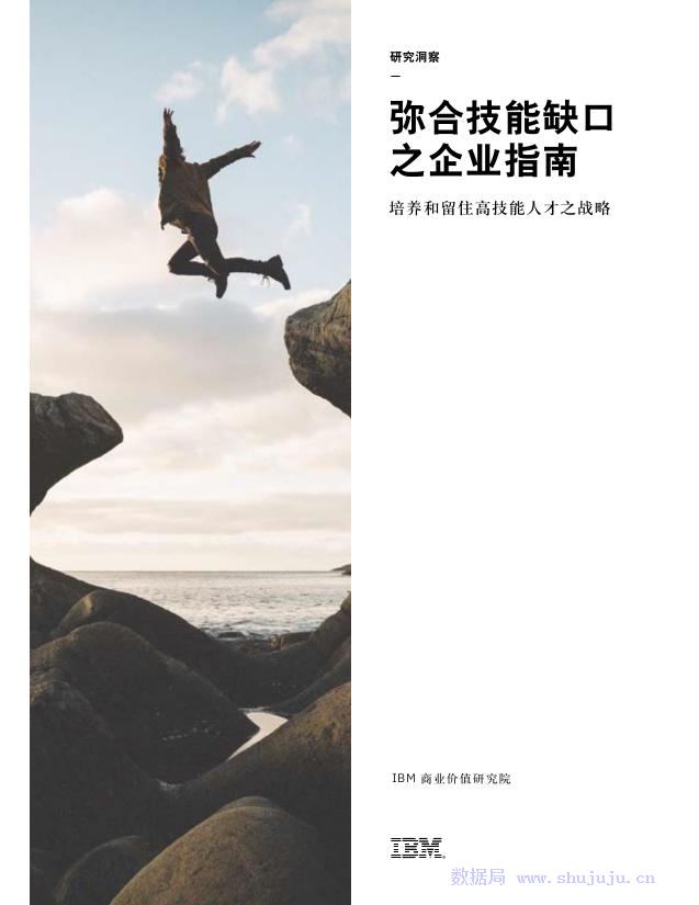 IBM：弥合技能缺口之企业指南