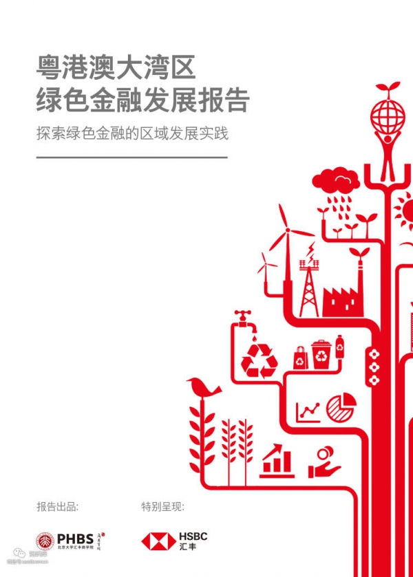 北大汇丰商学院：粤港澳大湾区绿色金融发展报告