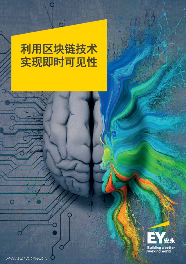 安永：利用区块链技术，实现即时可见性