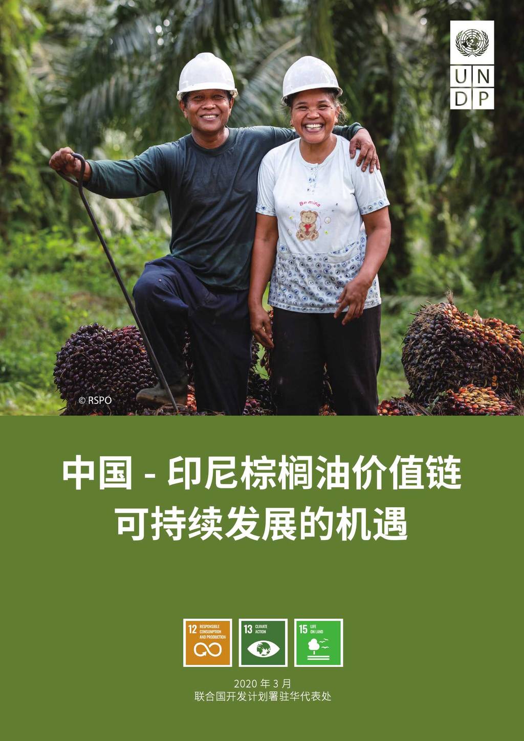 UNDP：中国-印尼棕榈油价值链可持续发展的机遇
