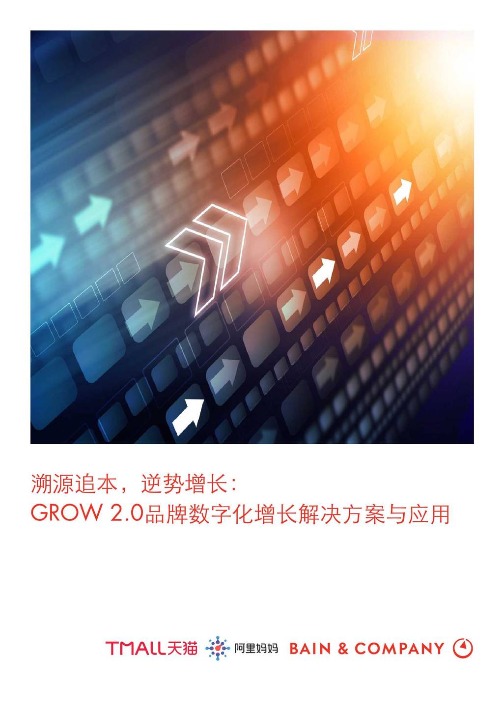 阿里妈妈：GROW 2.0品牌数字化增长白皮书
