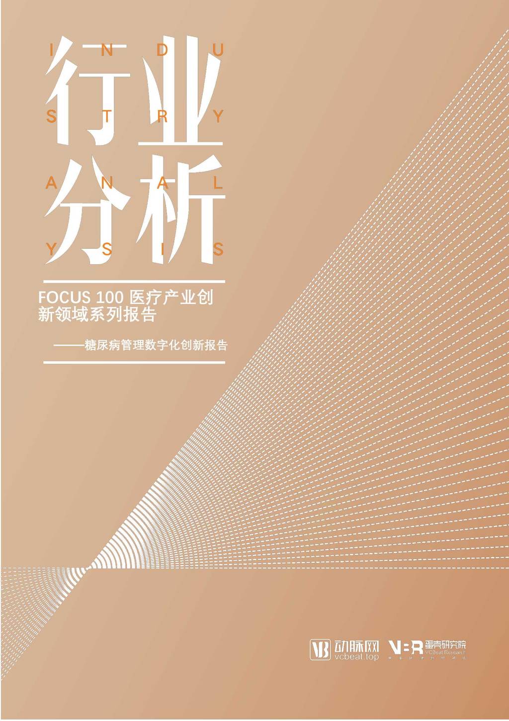 蛋壳研究院：Focus 100医疗产业创新领域系列报告——糖尿病管理<em>数<em>字化</em></em>创新报告 海报