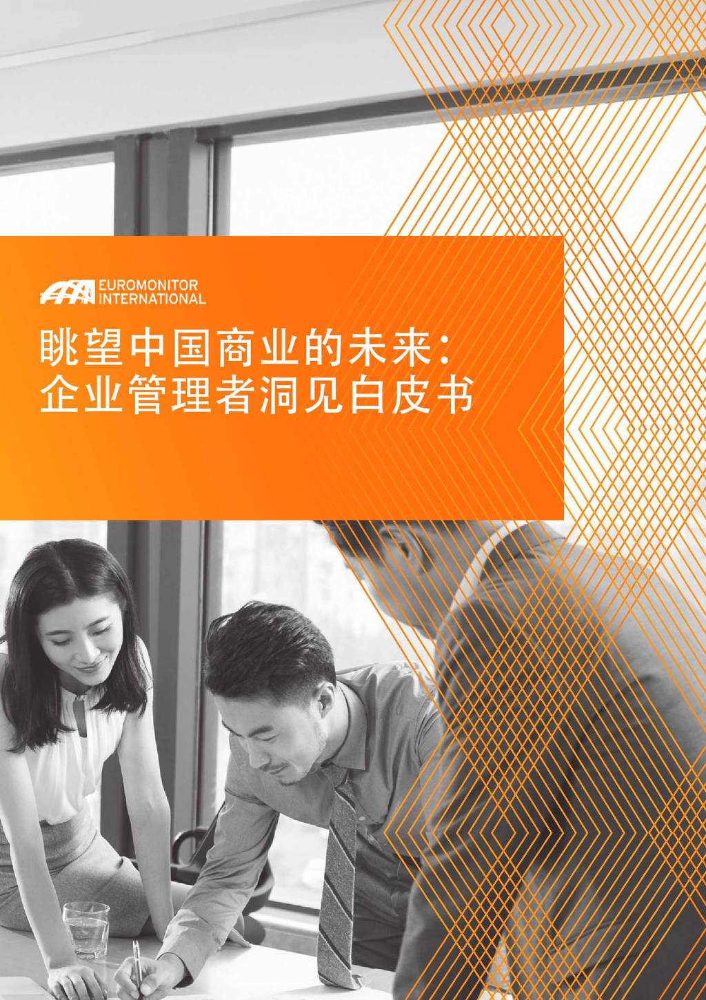 欧睿国际：眺望中国商业的未来—企业管理者洞见白皮书