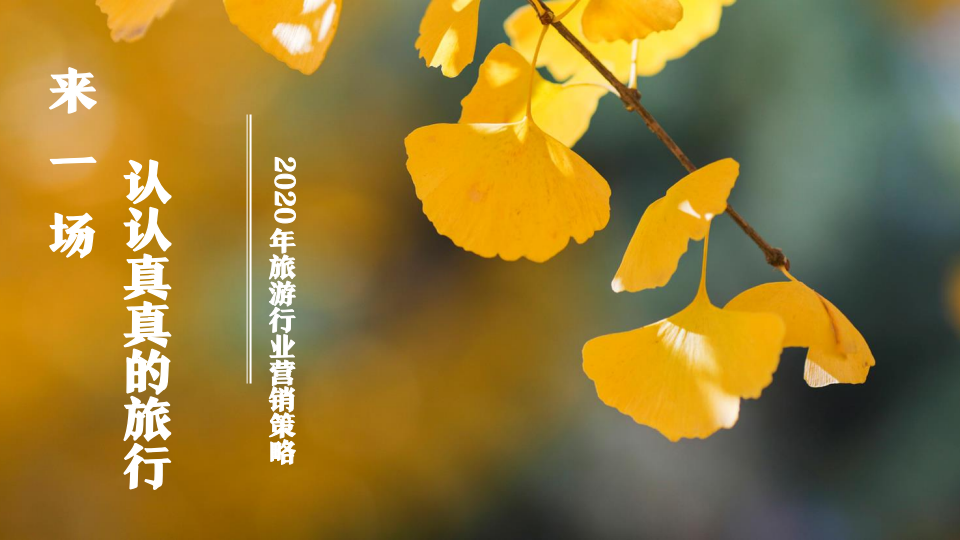 360：2020年旅游行业营销策略