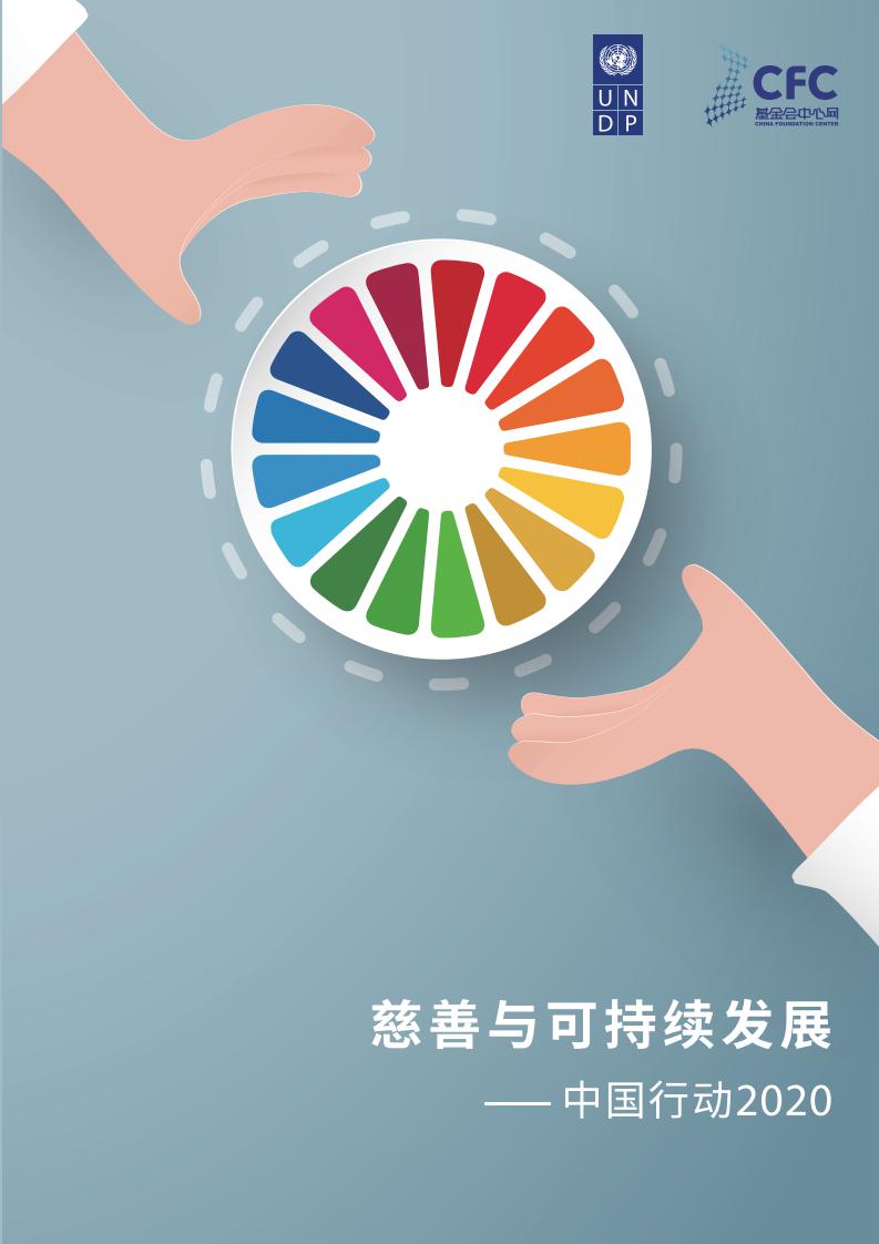 联合国开发计划署：慈善与可持续发展—中国行动（2020中国慈善报告）