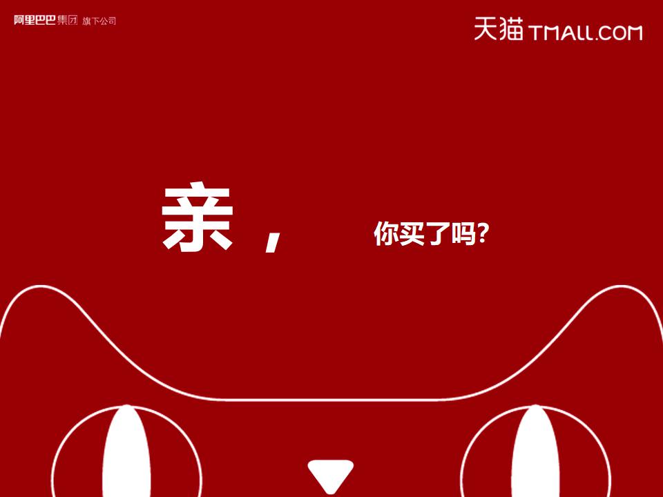 天猫：揭秘双十一：2012天猫双十一购物节营销案例分享