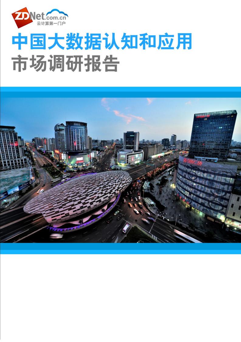 ZDNET：中国大数据认知和应用市场调研报告