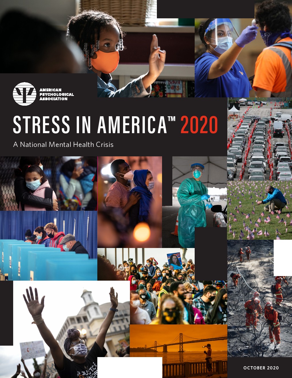 美国心理协会：2020年美国人压力报告（英文版）