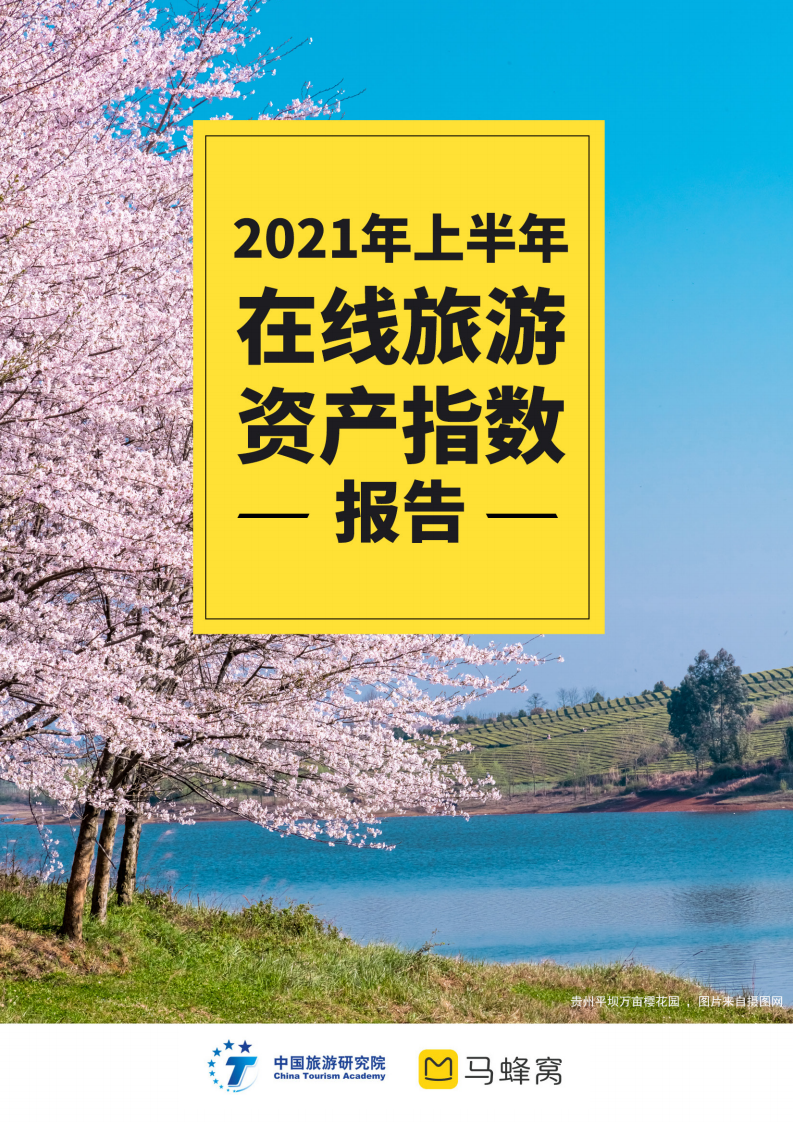 中国旅游研究院&马蜂窝：2021年上半年在线旅游资产指数（TPI）报告