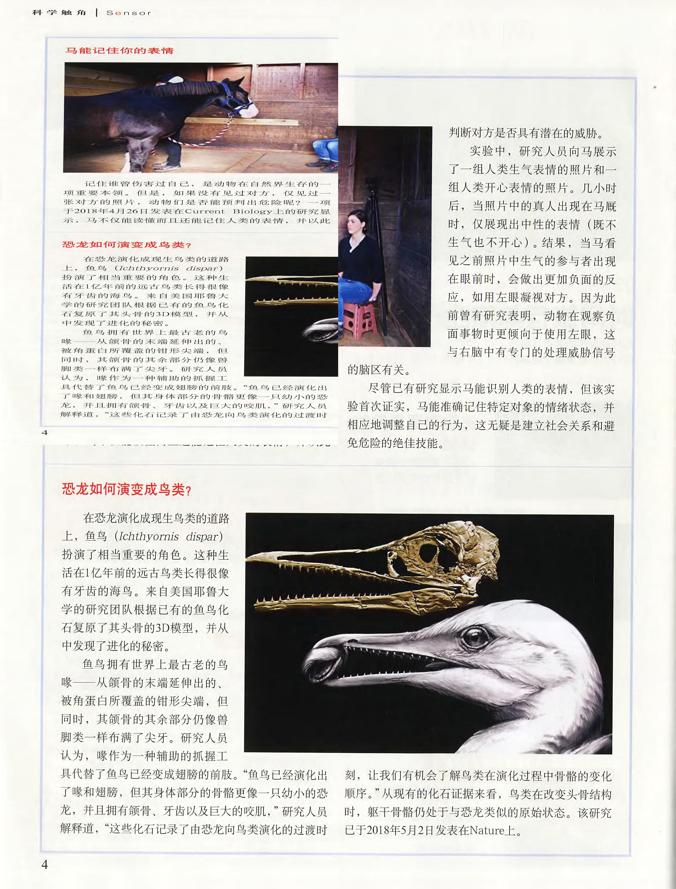 科学世界-2018-06_第6页